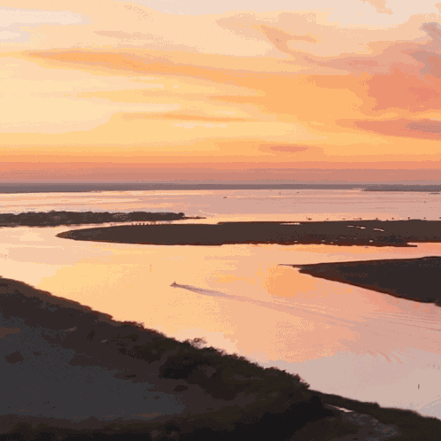 South Carolina Southcarolina GIF