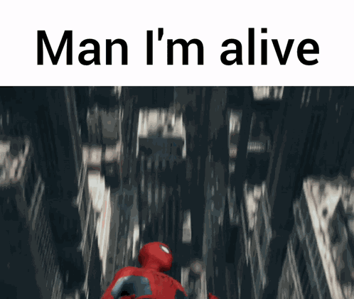 Spider-man Brand New Day Tom Holland GIF