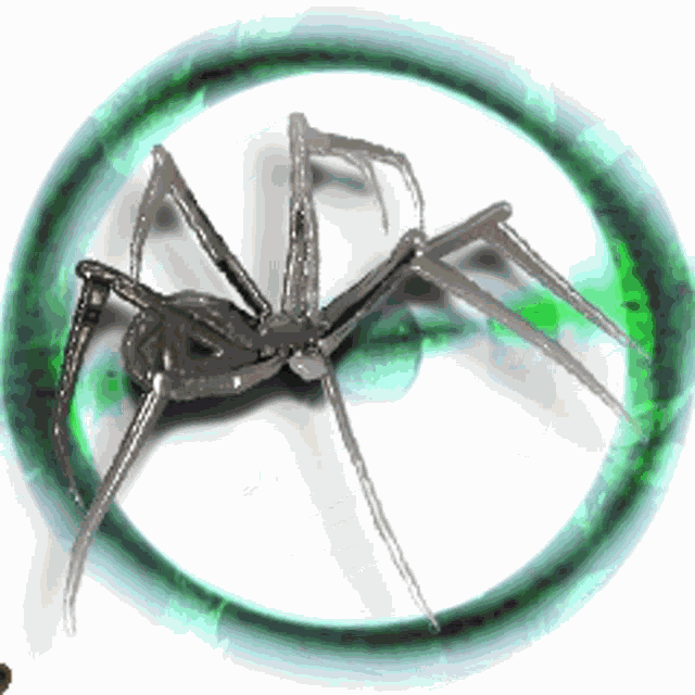 Spider Spiders GIF