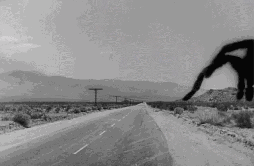 Spider Walking GIF