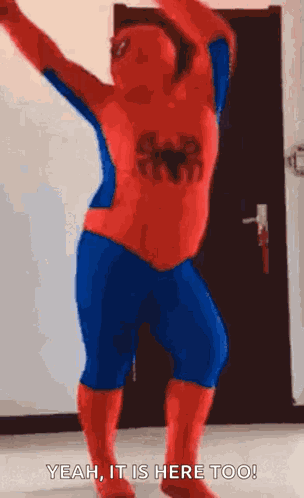 Spiderman Superhero GIF