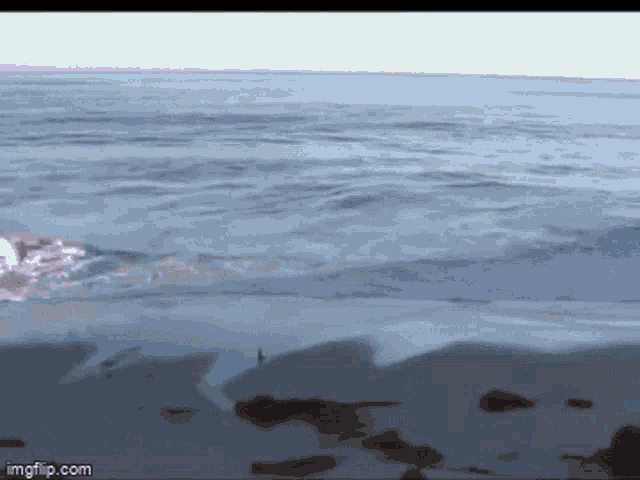 Spiritus Ocean GIF