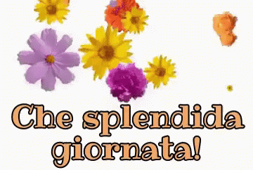 Splendida Giornata Felice Giorno Buongiorno Buon Giorno Buona Giornata A Tutti Svegliarsi Buondì GIF