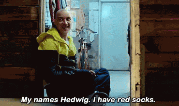 Split Hedwig GIF