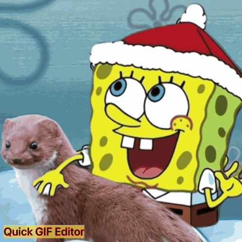 Spongebob Spongebob Meme GIF