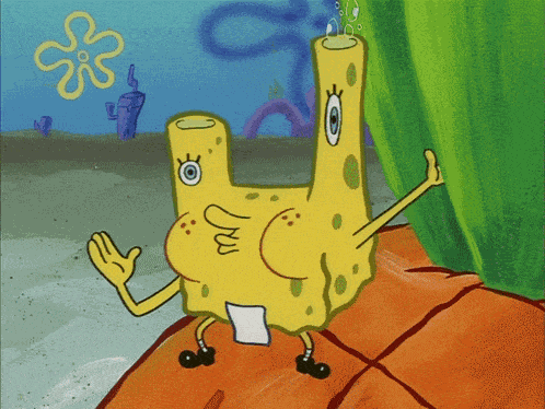 Spongebob Spongebob Squarepants GIF