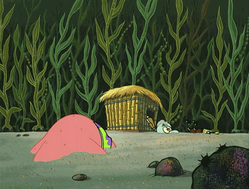 Spongebob Spongebob Squarepants GIF