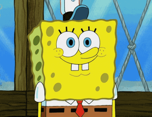 Spongebob Spongebob Squarepants GIF