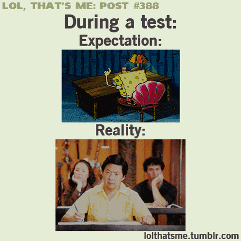 Spongebob Squarepants Cartoons GIF
