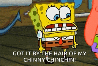 Spongebob Squarepants GIF