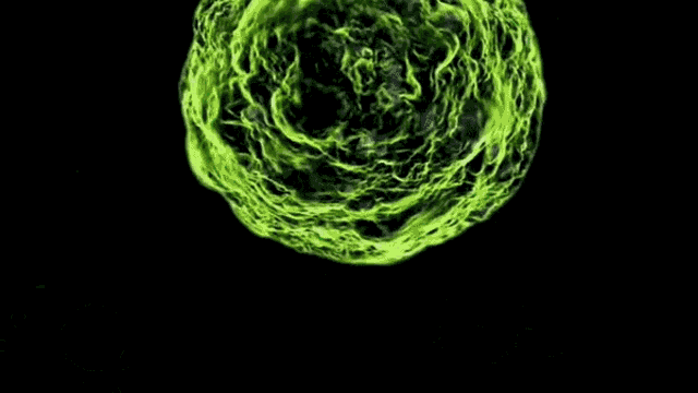 Spore Bacteria GIF