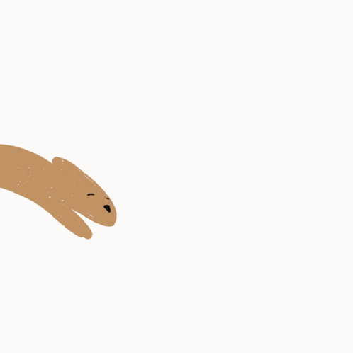 Spring Bunny GIF