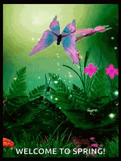 Spring GIF