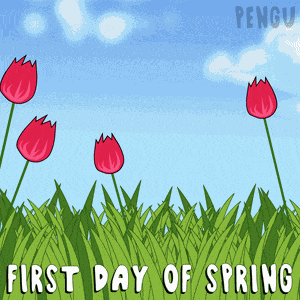 Spring First Day Of Spring GIF