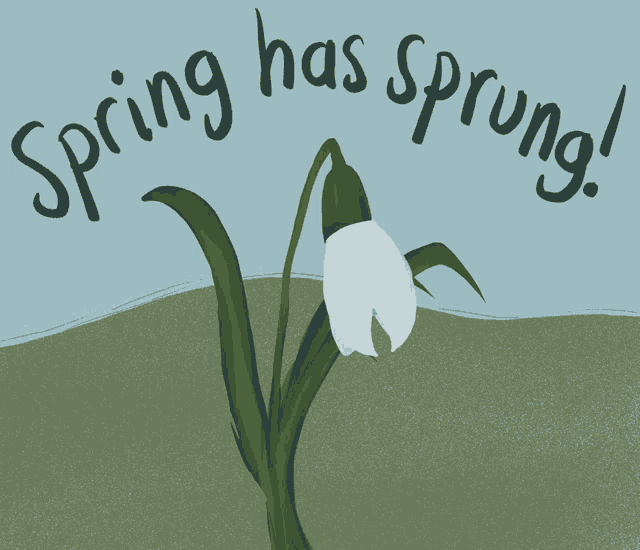 Spring Spring Has Sprung Meme