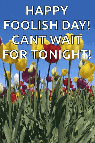 Spring Time Tulips GIF