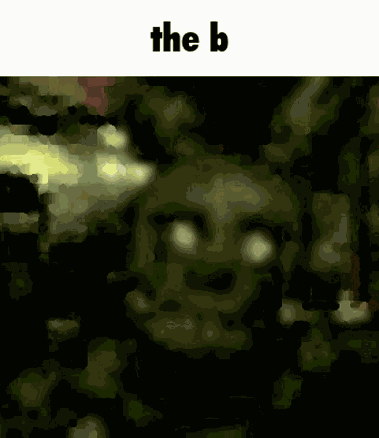 Spring Trap Real GIF
