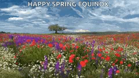 Spring GIF