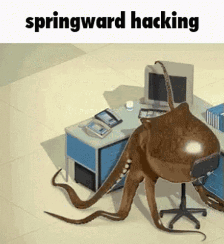Springward Hacking GIF