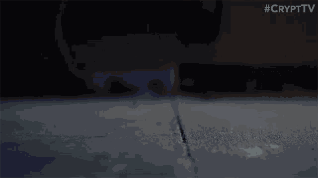 Sprouting Flower The Birch Show GIF