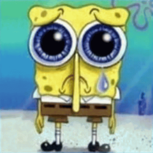 Spunch Bop Spunchbob GIF