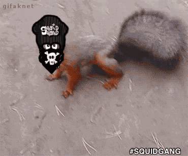 Squid Squad Ski Mask GIF