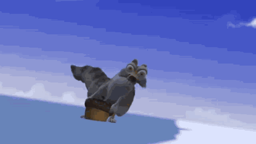 Squirrel Ecureuil GIF