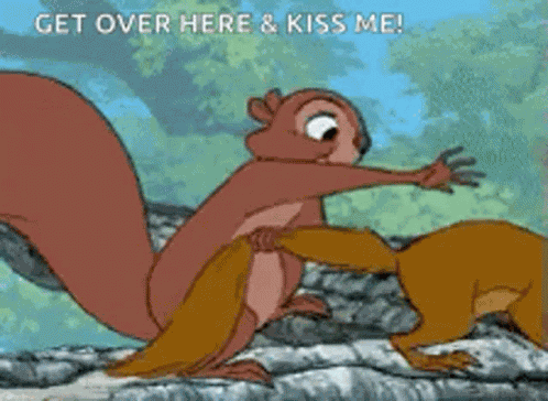 Squirrel Love GIF