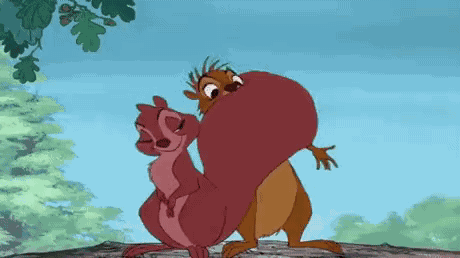 Squirrel GIF