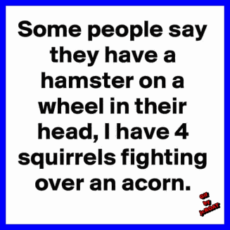 Squirrels Brain GIF