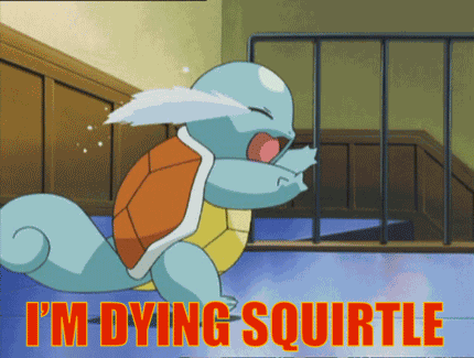 Squirtle Pokemon GIF