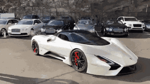 Ssc Tuatara GIF