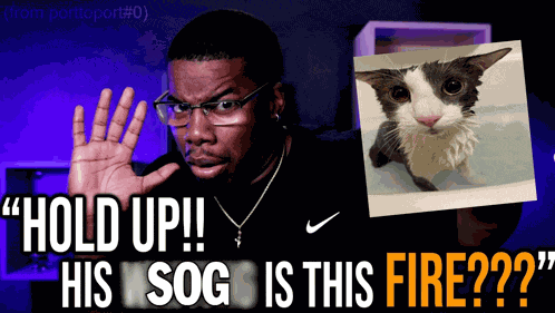 Ssoggycat Shark Meme