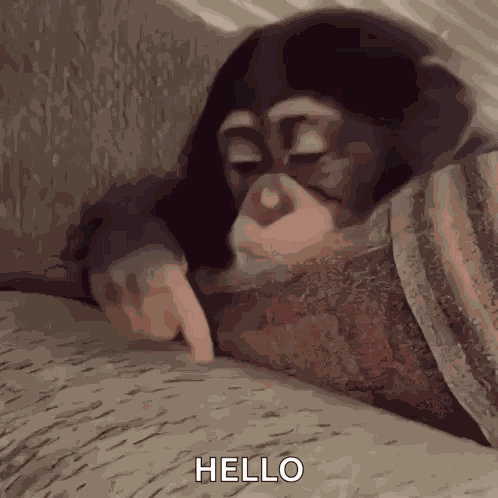 Stan Twitter Monkey GIF