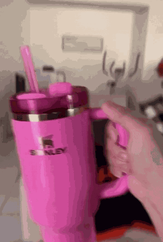 Stanley Cup Pink GIF