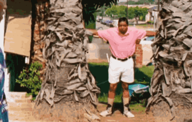 Stanley Stanley Friday GIF