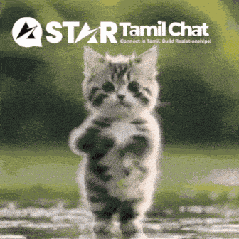 Star Tamil Chat Sanjay Chat GIF