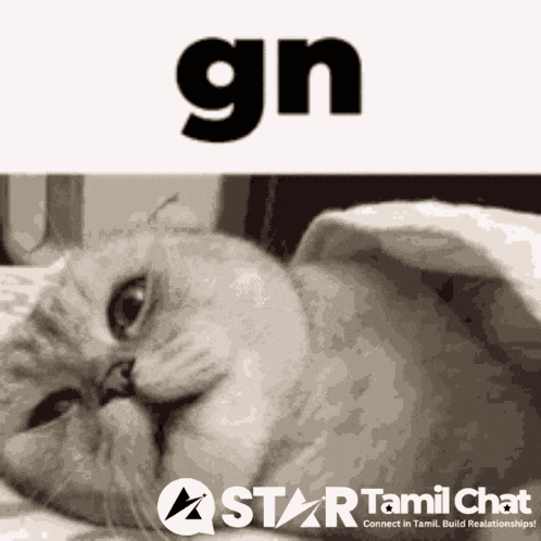 Star Tamil Chat Sanjay Chat GIF