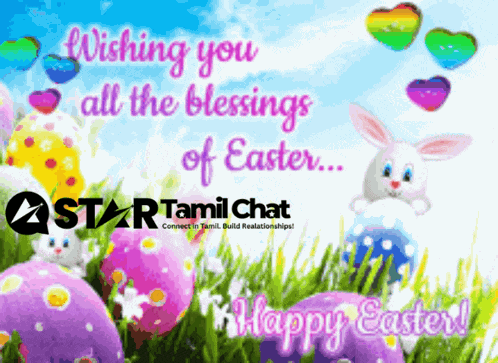 Star Tamil Chat Startamilchat GIF