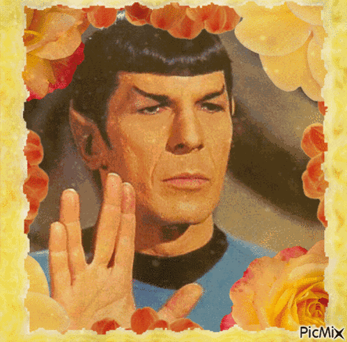 Star Trek Star Trek Spock GIF