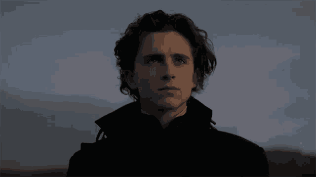 Stare Timothee Chalamet GIF