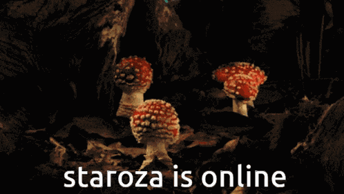 Staroza Is Online GIF
