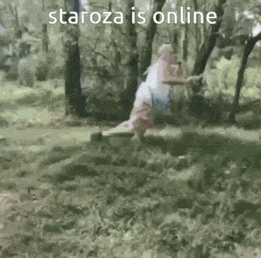 Staroza Is Online GIF