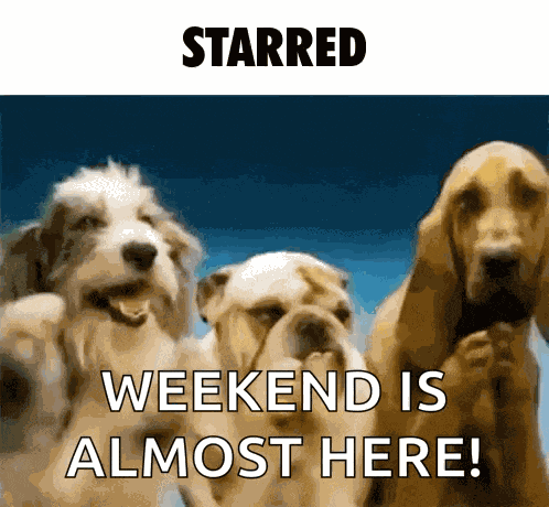 Starred Dogs Clapping GIF