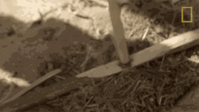 Start A Fire Primal Survivor GIF