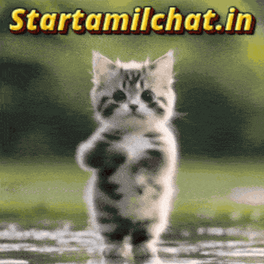 Startamilchat Sanjay Chat GIF