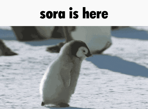 Stateview Sora GIF