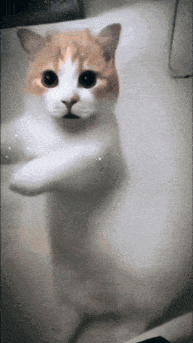 Stay Cool GIF