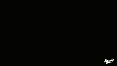 Steadynft GIF