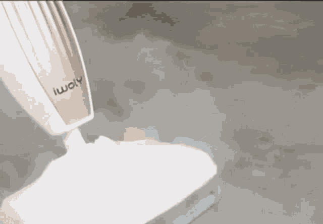Steam Mop GIF